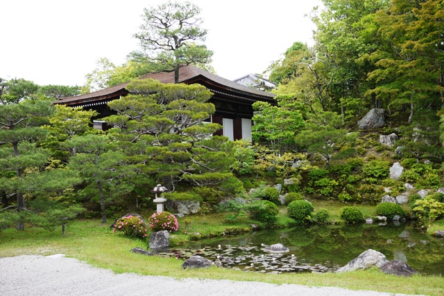 京都の神社仏閣巡り　～仁和寺～_a0127090_2174483.jpg