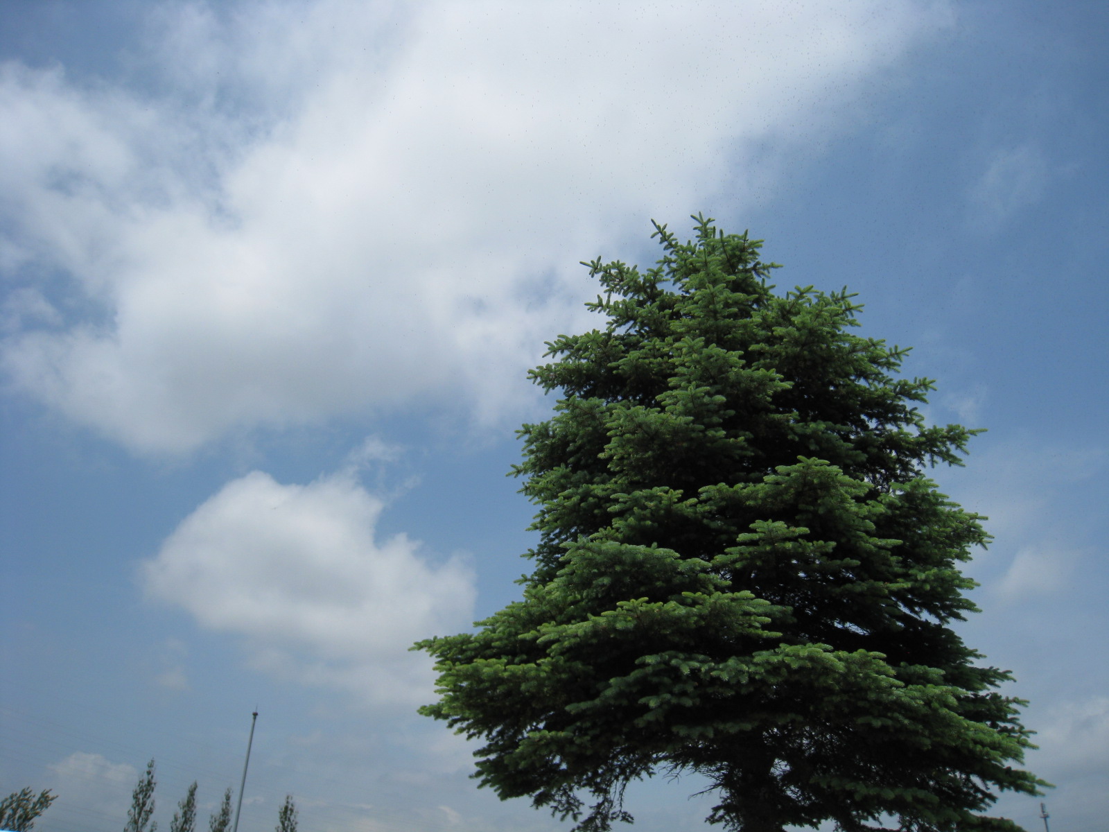 f0236391_0563959.jpg