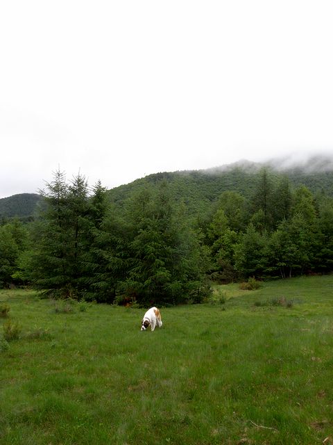a0093592_08595.jpg