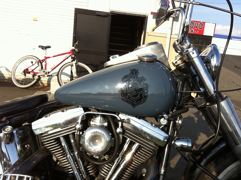 SOFTAIL NARROW TANK_a0165898_22581479.jpg