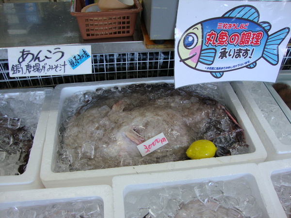 このお魚の名前は??_d0235898_141234100.jpg