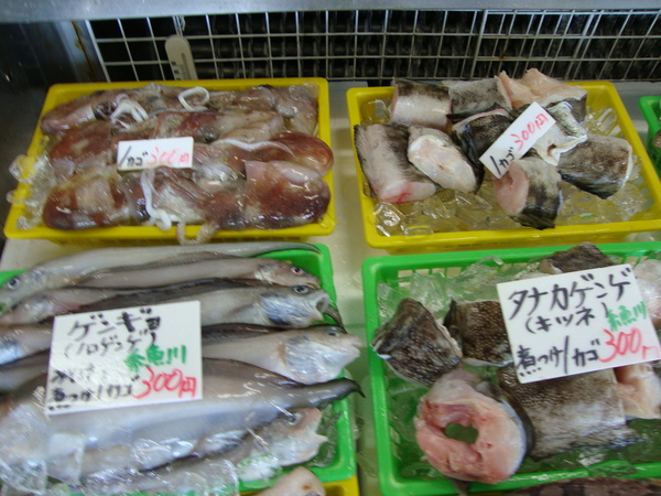 このお魚の名前は??_d0235898_1413480.jpg