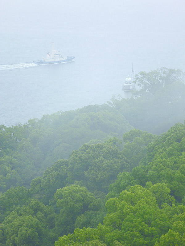 超多忙の毎日・広島、山口、島根_e0204700_23213179.jpg