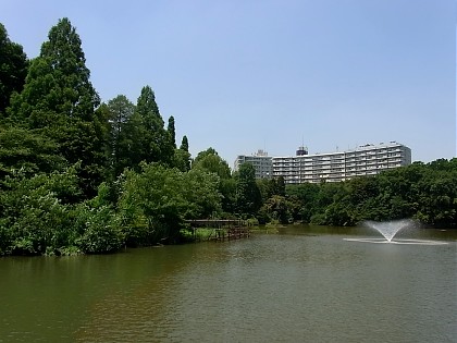 2011年6月22日（水） ； 晴れ_d0051601_013374.jpg