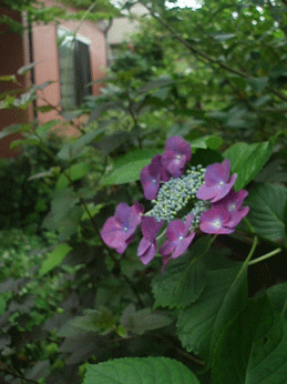 c0129702_9424523.gif