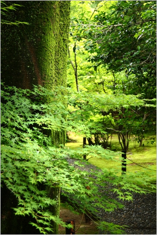 広隆寺_b0180907_22541530.jpg