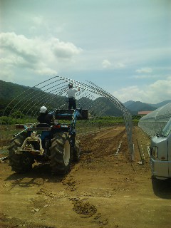 ハウス建て_d0099708_4421615.jpg