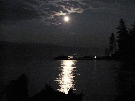 b0051109_25492.jpg