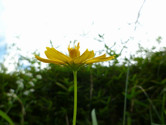 d0037110_20271077.jpg