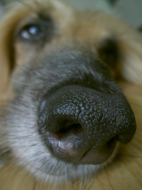 c0192319_93392.jpg
