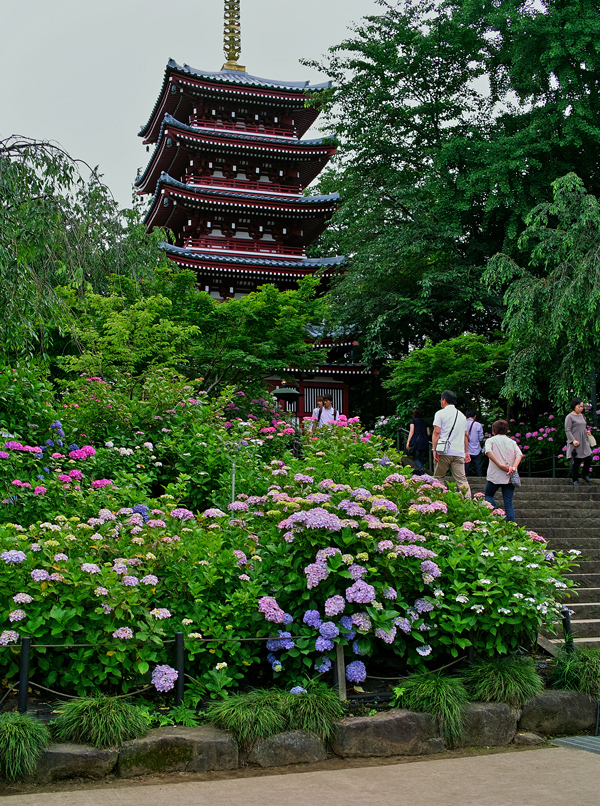 c0223825_6254948.jpg