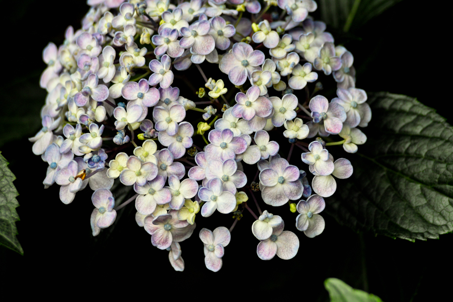 c0223825_6594795.jpg