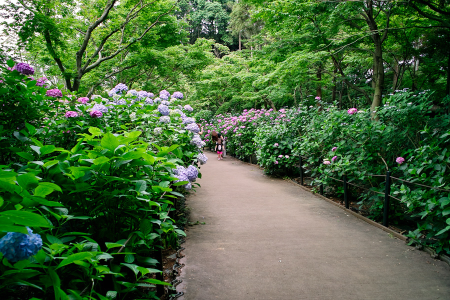 c0223825_77557.jpg