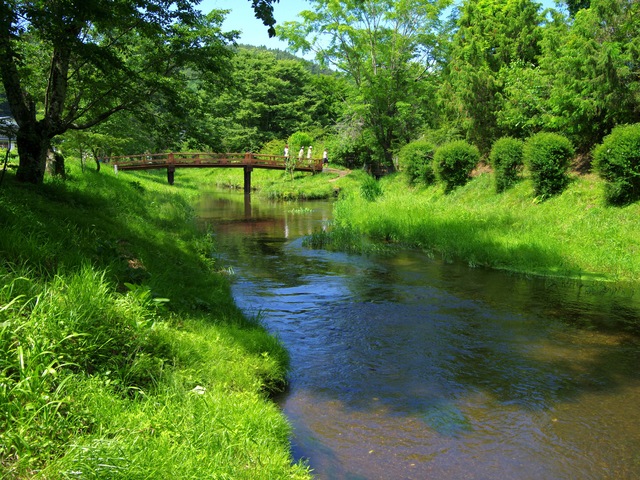 梅雨晴れの忍野村_b0191026_2239930.jpg