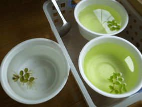 d0048332_1431496.gif
