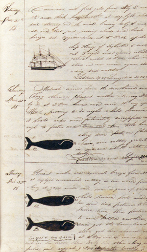 WHALING LOG_b0081843_20391294.jpg