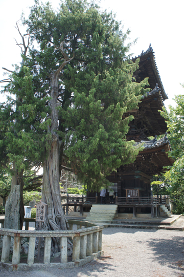 熟年のin紀州＆高野山　　　道成寺　　　<2011.06>_e0040345_9101475.jpg