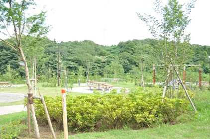 a0166550_11552.jpg