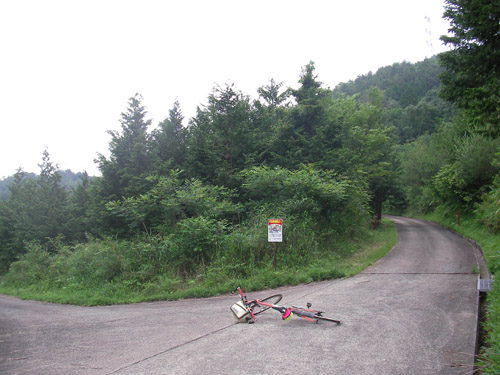 犬飼林道〜松尾谷林道_d0144550_21102166.jpg