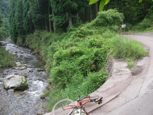 犬飼林道〜松尾谷林道_d0144550_2115392.jpg