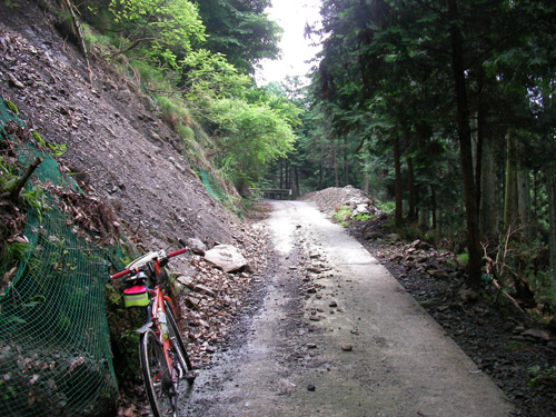 犬飼林道〜松尾谷林道_d0144550_2138018.jpg