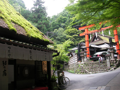 犬飼林道〜松尾谷林道_d0144550_21431096.jpg