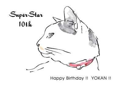 HAPPY BIRTHDAY 10th YOHKAN-SAN!_a0028451_1324013.jpg