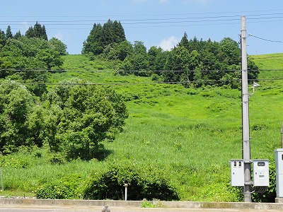 梅雨の合間の天気_a0084753_10414892.jpg