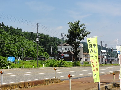 梅雨の合間の天気_a0084753_10415644.jpg
