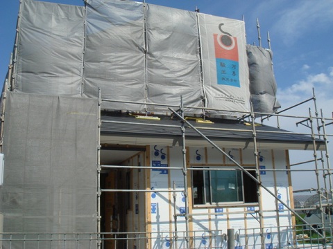 f0046854_237988.jpg
