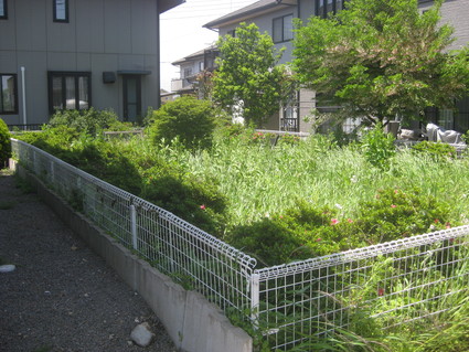 企画「大田原をもっと知ろう!」・・・その9、美原②。_b0063162_0191373.jpg