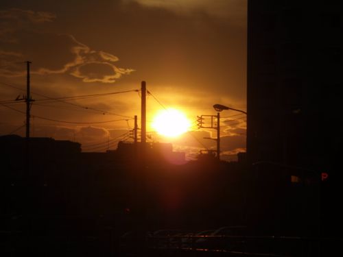 f0060262_233548.jpg