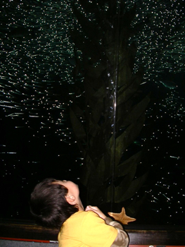 f0238562_8163537.jpg