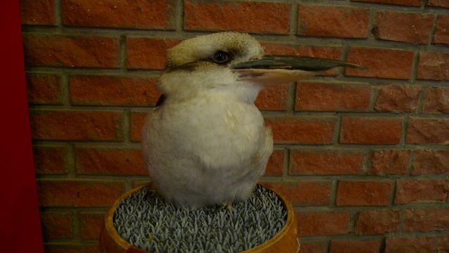 a0182281_10474942.jpg