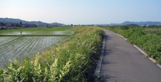 右手に鳥取自動車道左に千代川と一般国道...._b0194185_23111068.jpg