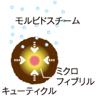 パルッキー_b0210688_1237488.gif