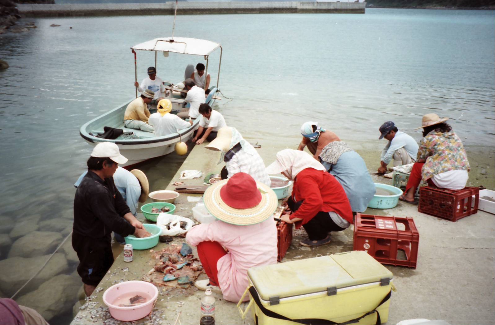 請阿室舟漕ぎ大会　１９９６年_a0194993_23585129.jpg