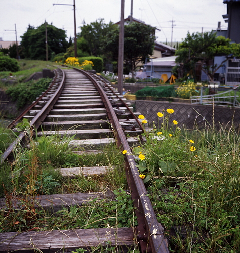 c0214494_1025391.jpg
