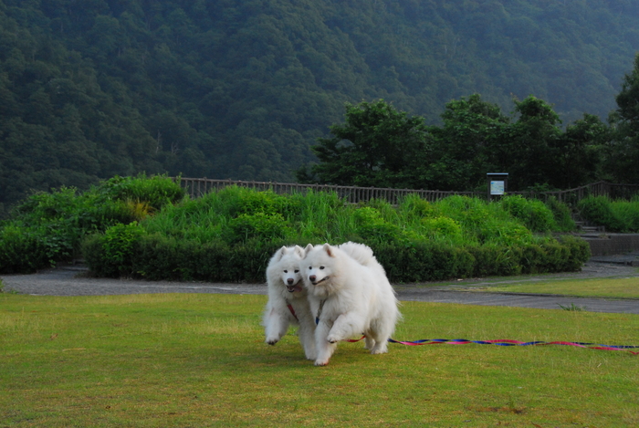 初夏のみちのくへ　part3_a0049296_2040175.jpg