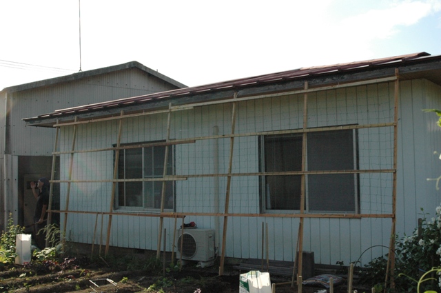 c0164598_836889.jpg