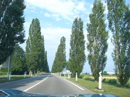 c0171899_038812.jpg