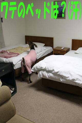 e0100007_21592761.jpg