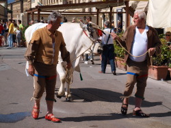 Calcio Storico 中世のサッカー 徹底追跡 爽やかホハ ホーラ