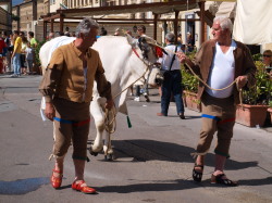 Calcio Storico Ⅰ　中世のサッカー／徹底追跡_a0207108_824838.jpg