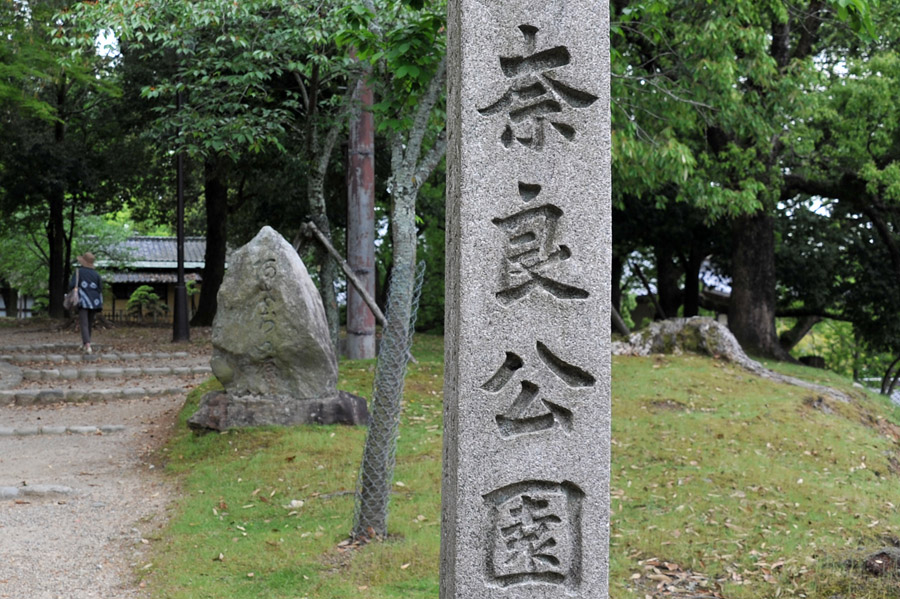 興福寺 と 春日大社　（奈良）_a0042310_13291535.jpg