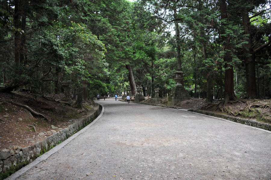 興福寺 と 春日大社　（奈良）_a0042310_133221.jpg