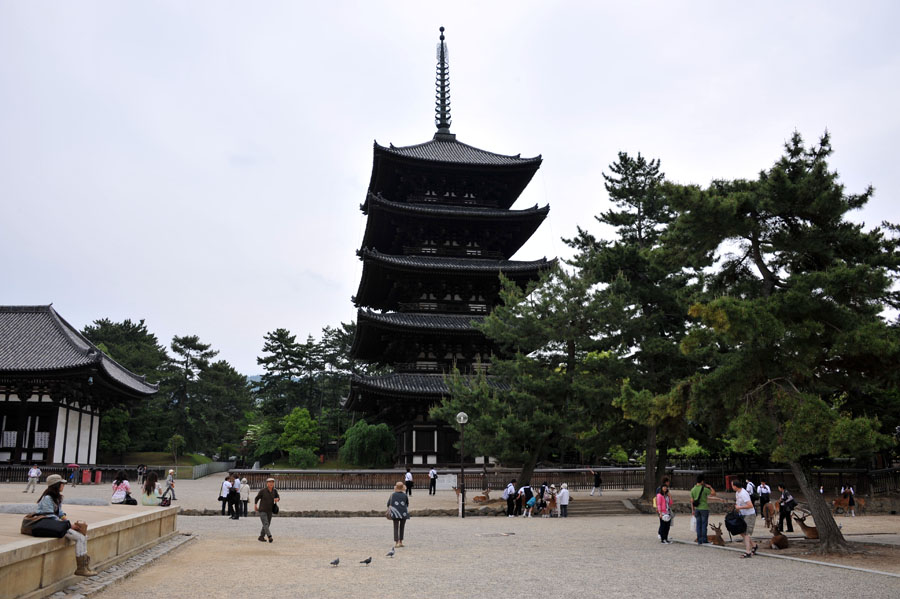 興福寺 と 春日大社　（奈良）_a0042310_13344577.jpg