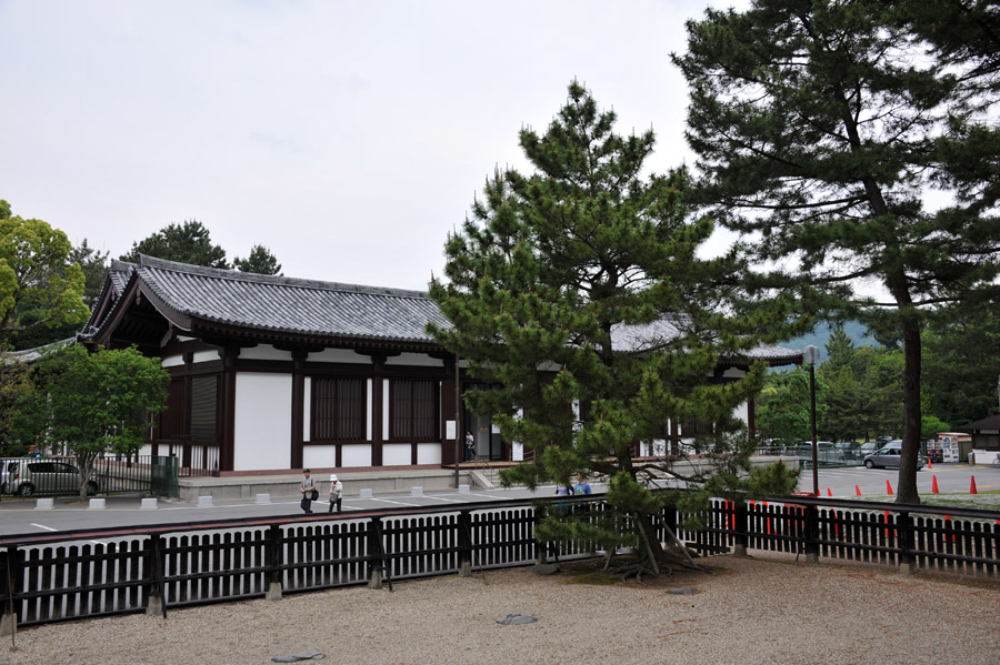 興福寺 と 春日大社 (奈良)_a0042310_13391663.jpg