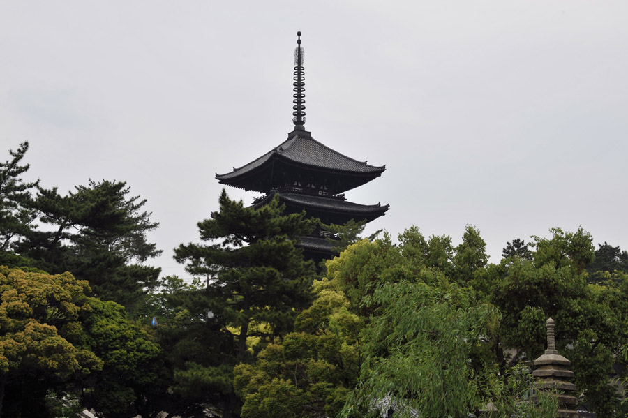 興福寺 と 春日大社　（奈良）_a0042310_13415651.jpg