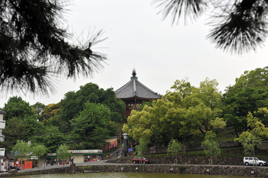 興福寺 と 春日大社 (奈良)_a0042310_1342865.jpg
